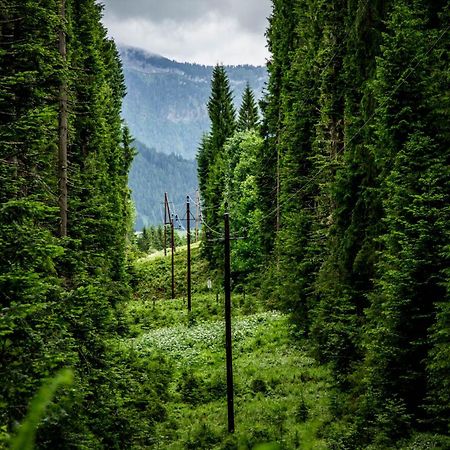 Gluexplatzl Appartements Am Wald Sankt Martin am Tennengebirge Ngoại thất bức ảnh