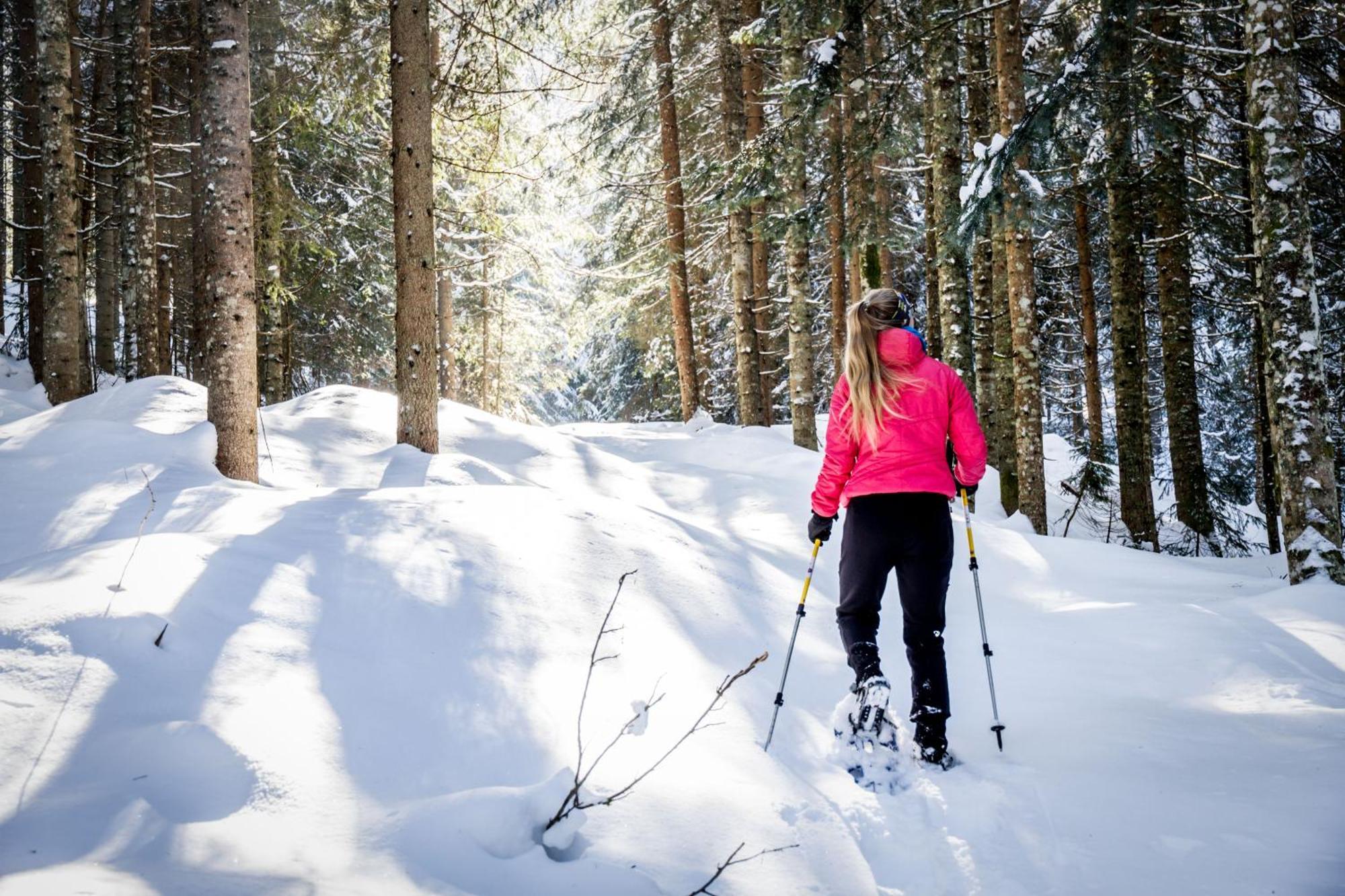 Gluexplatzl Appartements Am Wald Sankt Martin am Tennengebirge Ngoại thất bức ảnh